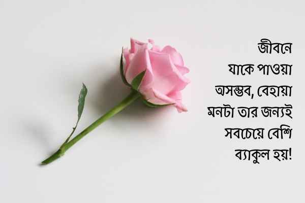 Premer Chondo pic 4 প্রেমের ছন্দ পিক ৪