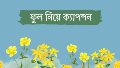 Ful Niye Caption ফুল নিয়ে ক্যাপশন