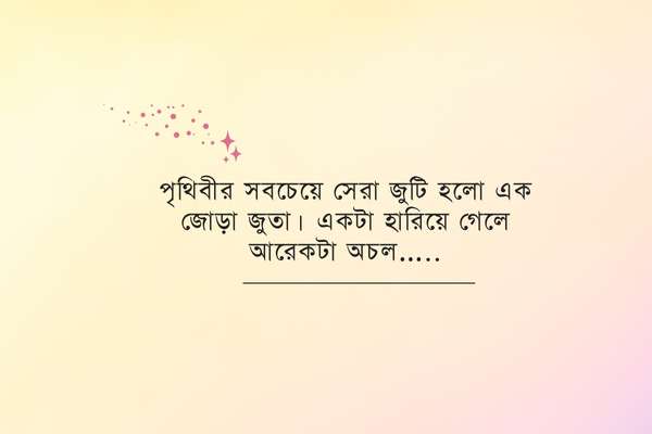 Hasir Chondo Pic 2 হাসির ছন্দ পিক ২