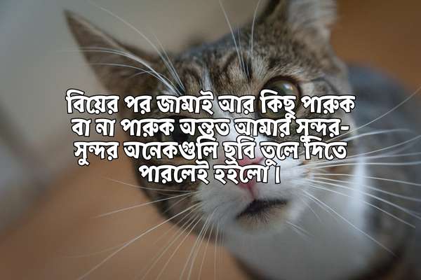 Hasir Chondo Pic 3 হাসির ছন্দ পিক ৩