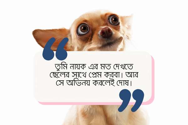 Hasir Chondo Pic 4 হাসির ছন্দ পিক ৪