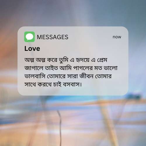 Meye Potanor Message 2 মেয়ে পটানোর মেসেজ ছবি ২