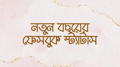 New Year Facebook Status